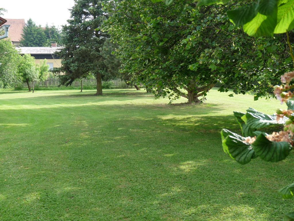 Ferienhaus Muehlblick Oberdachstetten Camera foto